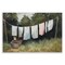 Stupell Industries Laundry Out To Dry Wall Plaque Art Design by Julia Purinton